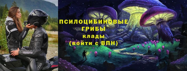 молекула духа Куйбышев