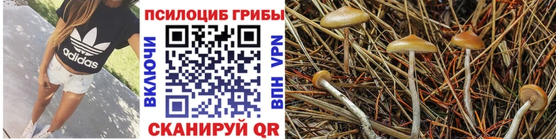 купить  сайты  ссылка на мегу сайт  Галлюциногенные грибы ЛСД  Нижнеудинск 