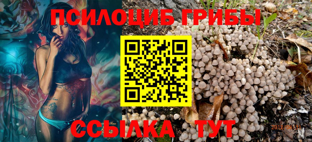 Галлюциногенные грибы Psilocybine cubensis  Галлюциногенные грибы ЛСД  как найти   Вход с VPN  Нижнеудинск 