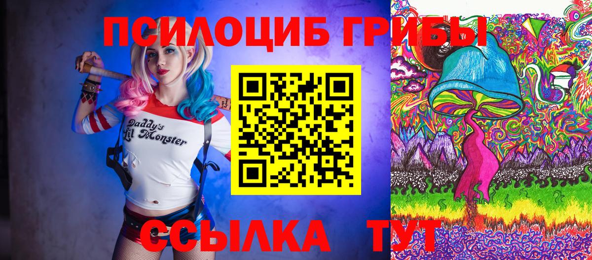 Псилоцибиновые грибы Cubensis Нижнеудинск
